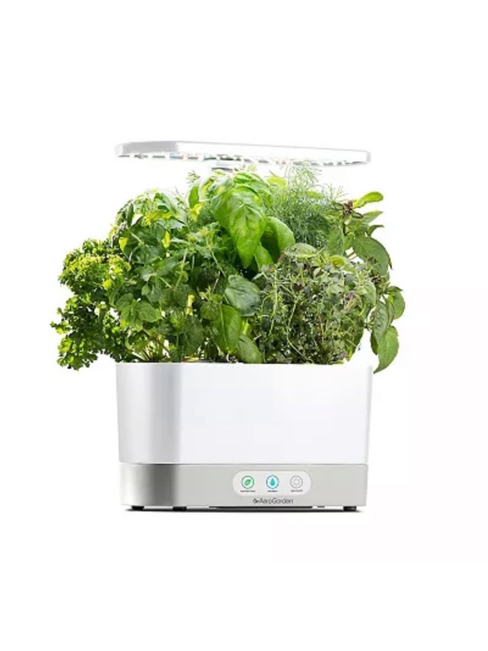 AeroGarden 6 Slim Indoor Planter - White with Wood Base